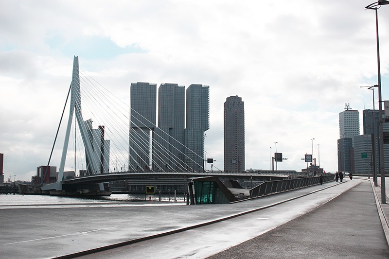 que visitar en rotterdam en 1 dia