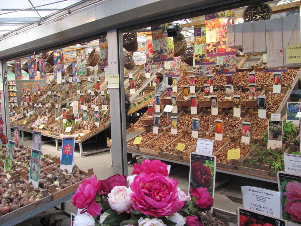How to spend 2 days in Amsterdam - Tips and Itinerary