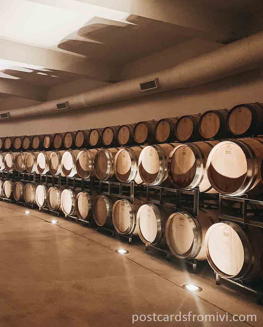 Wine tasting in Cafayate: Bodega Piattelli Vineyards