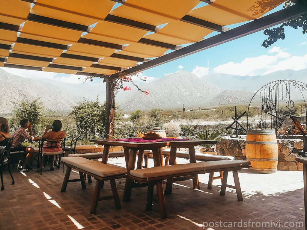 Wineries in Cafayate: Visit to Piattelli Vineyards Winery