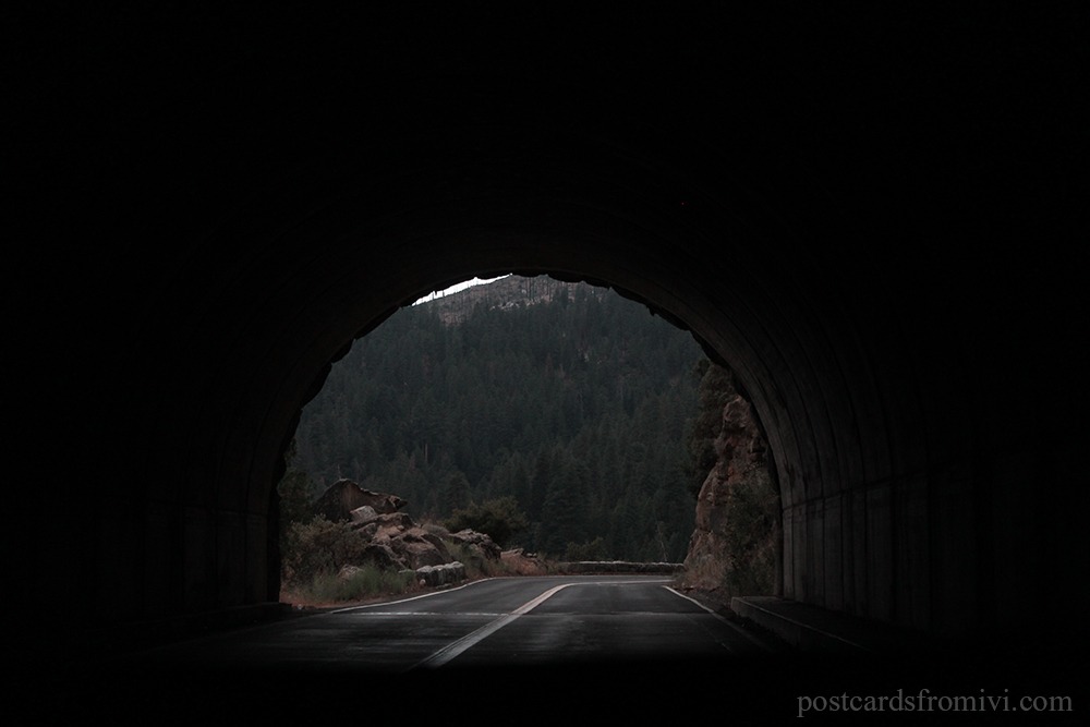 Guía completa para visitar Yosemite National Park en California