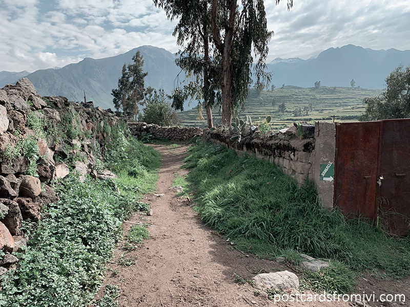 Trekking through the Colca Canyon for free or on tour