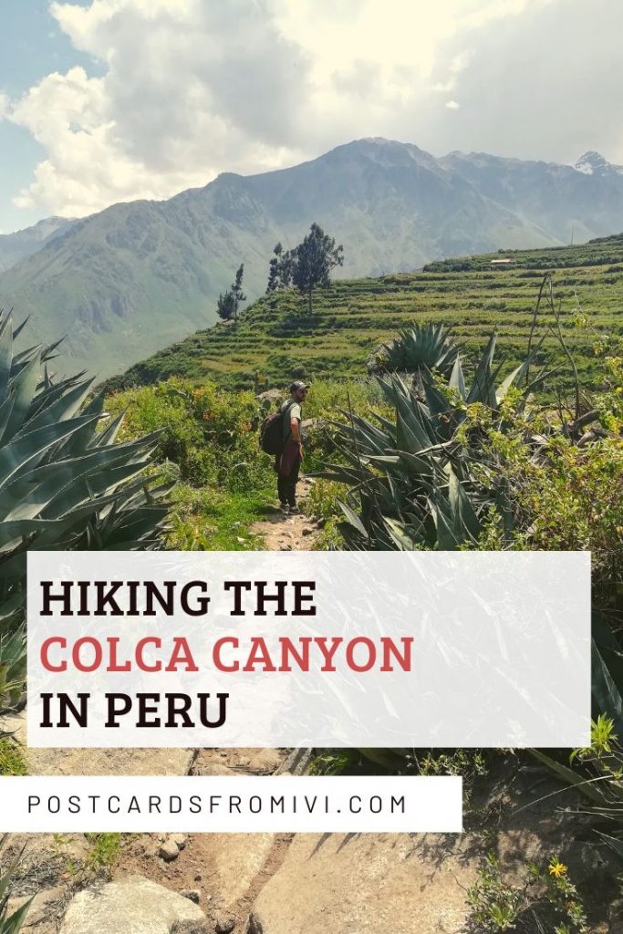 The ultimate guide for hiking the Colca Canyon in Peru