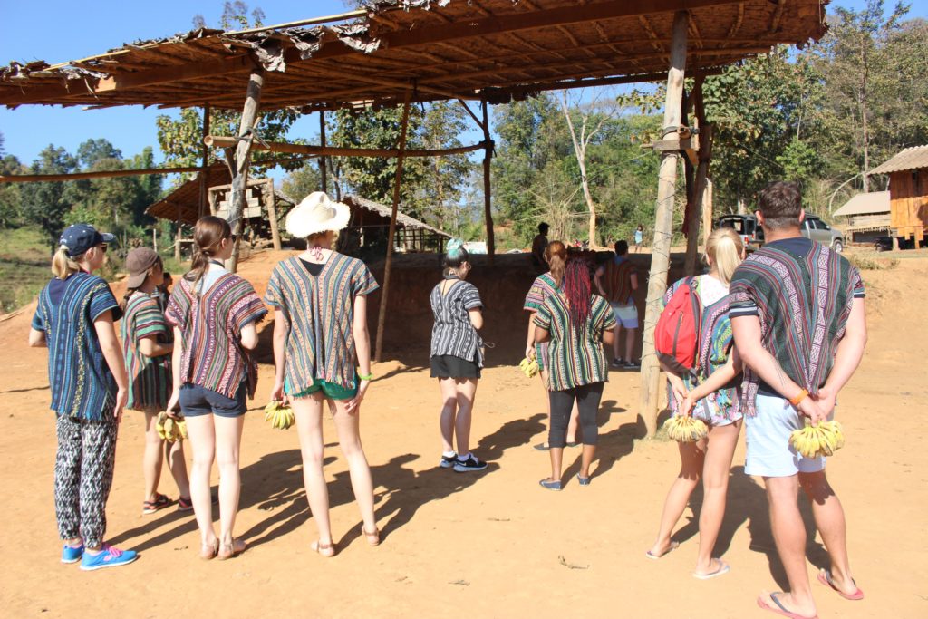 See elephants in Thailand - Elephant Jungle Sanctuary Chiang Mai