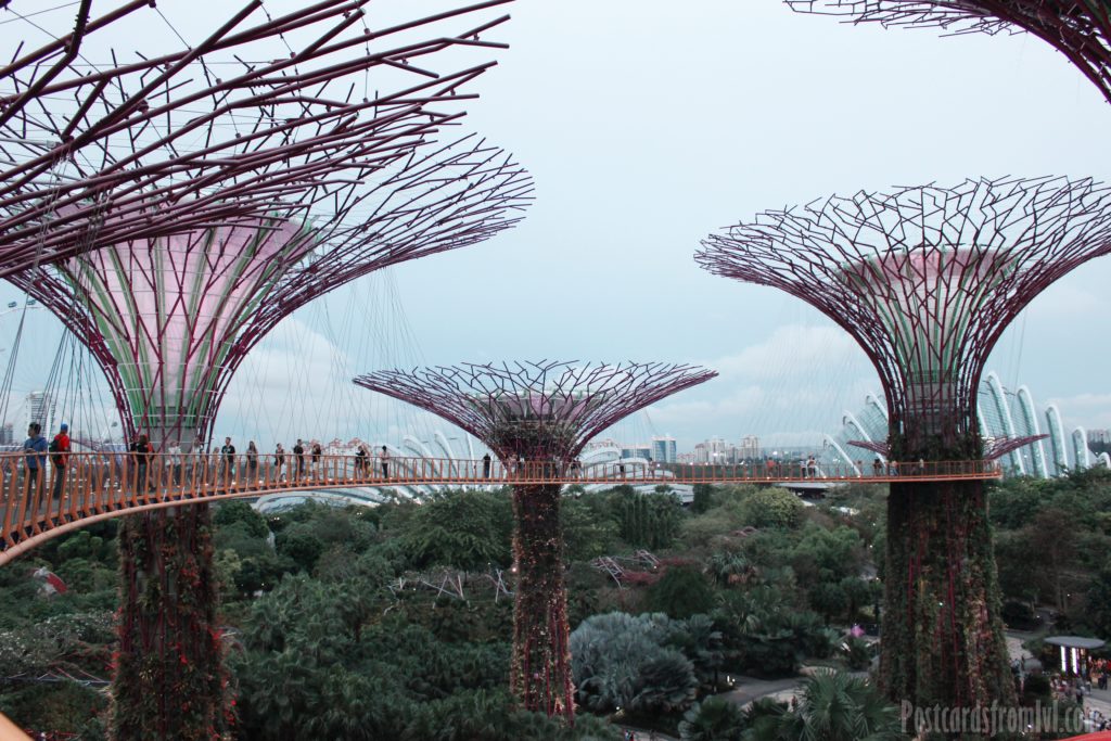 Information and tips for travel to Singapore