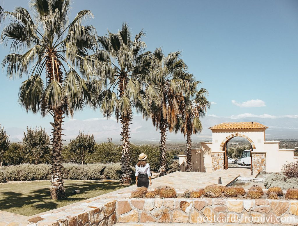 Wineries in Cafayate: Visit to Piattelli Vineyards Winery