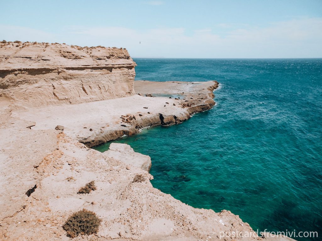 Things to do in Puerto Madryn Patagonia Argentina