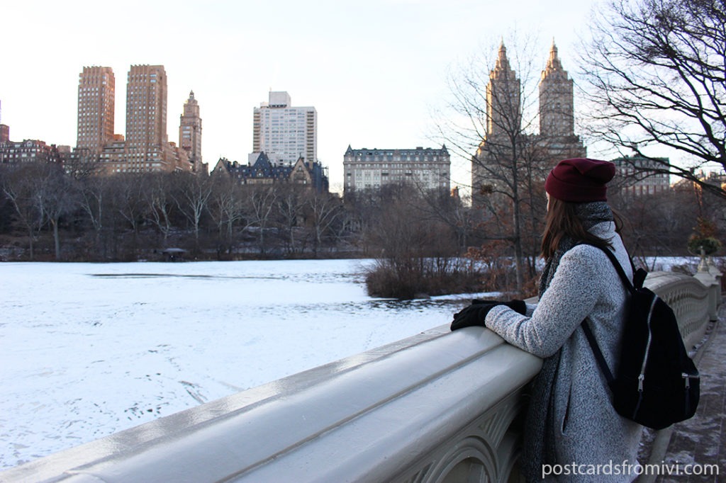 What to do in new York