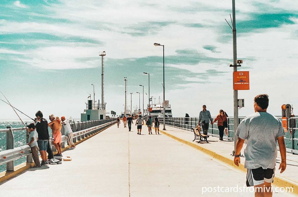 Things to do in Puerto Madryn Patagonia Argentina