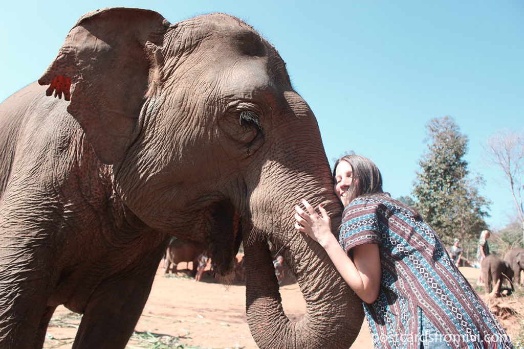 Dónde ver elefantes en Tailandia - Elephant Jungle Sanctuary Chiang Mai