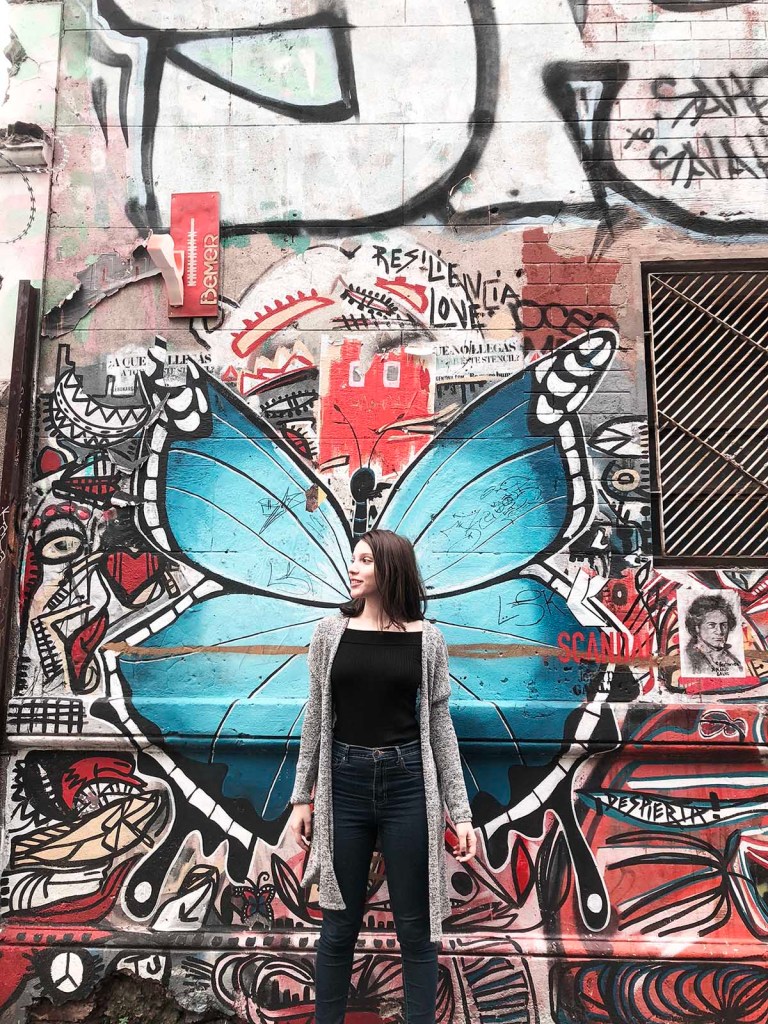 Butterfly wings mural in Buenos Aires