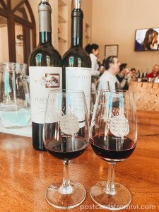 Wine tasting in Cafayate: Bodega Piattelli Vineyards
