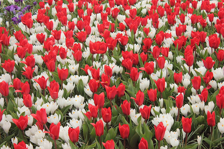 Europe in March: Best places to visit in March in Europe