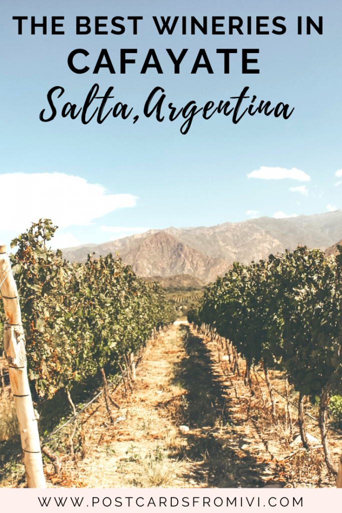 Wine tasting in Cafayate: Bodega Piattelli Vineyards