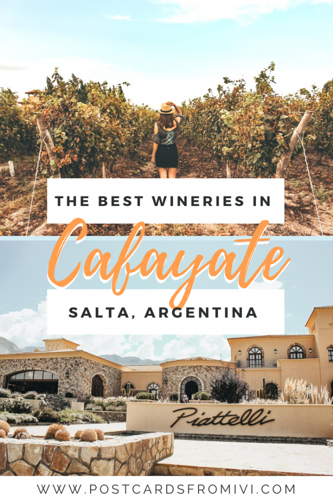 Wine tasting in Cafayate: Bodega Piattelli Vineyards