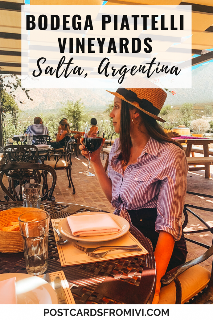 Wine tasting in Cafayate: Bodega Piattelli Vineyards