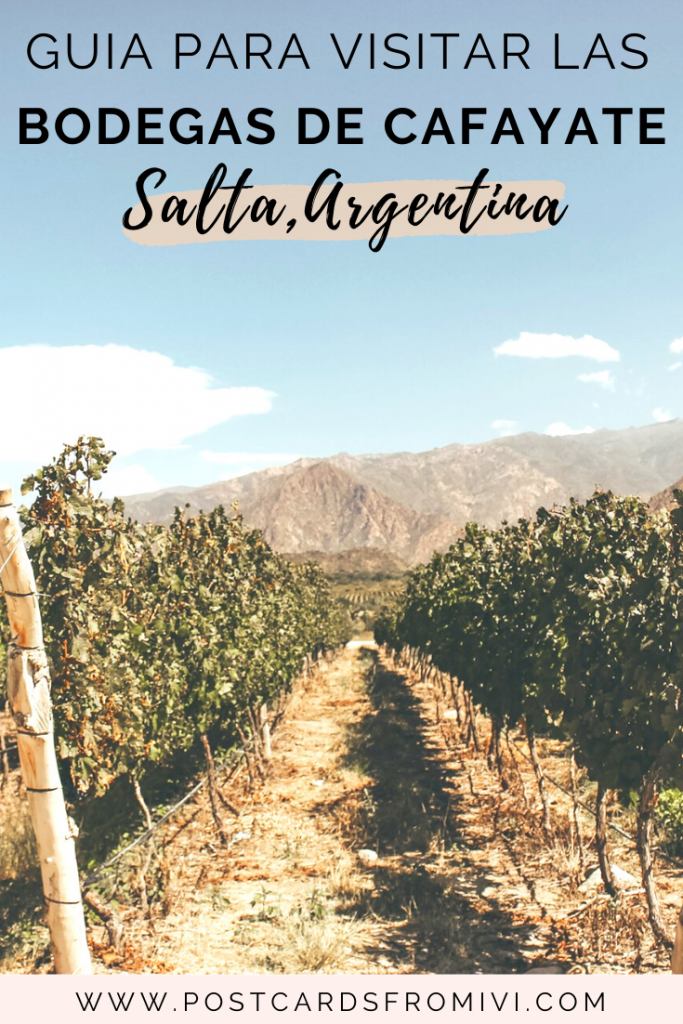 Bodegas en Cafayate: Visita a Bodega Piattelli Vineyards