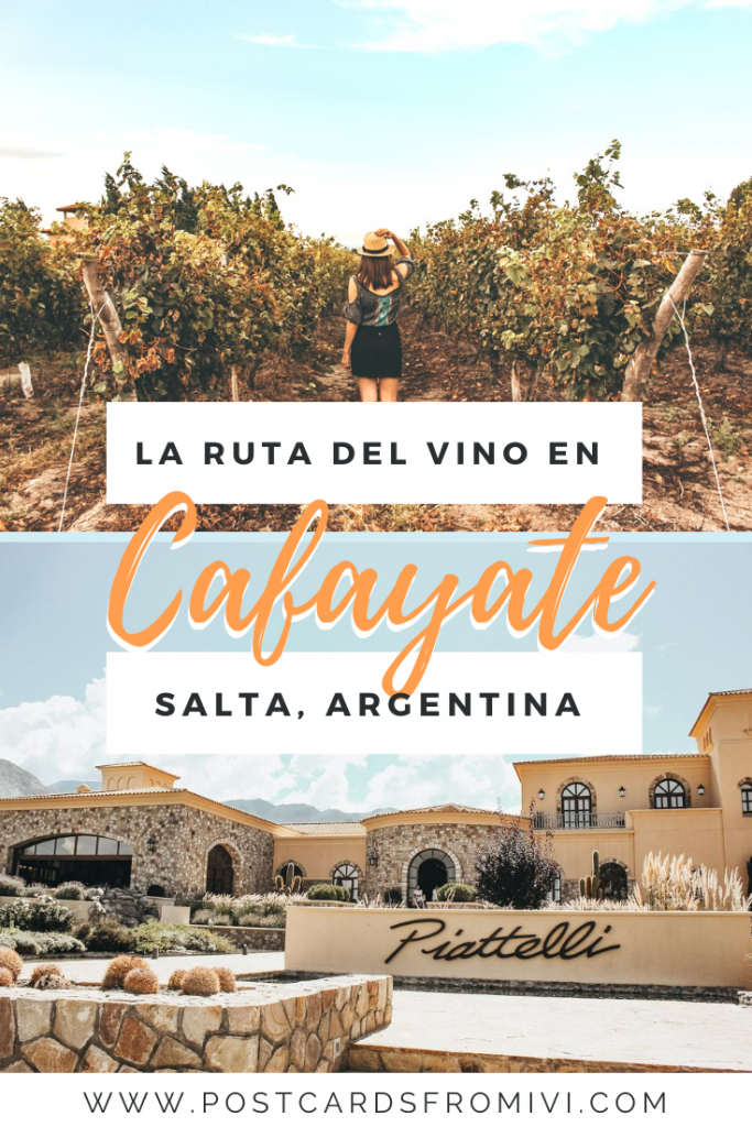 Bodegas en Cafayate: Visita a Bodega Piattelli Vineyards