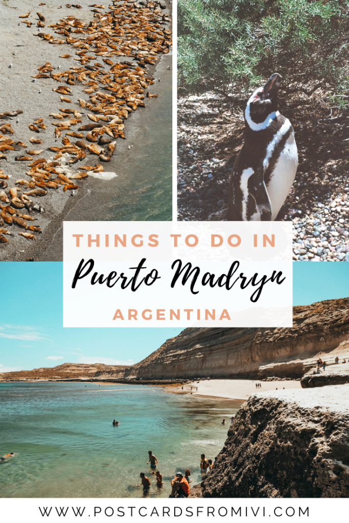 Things to do in Puerto Madryn, Patagonia Argentina's gem