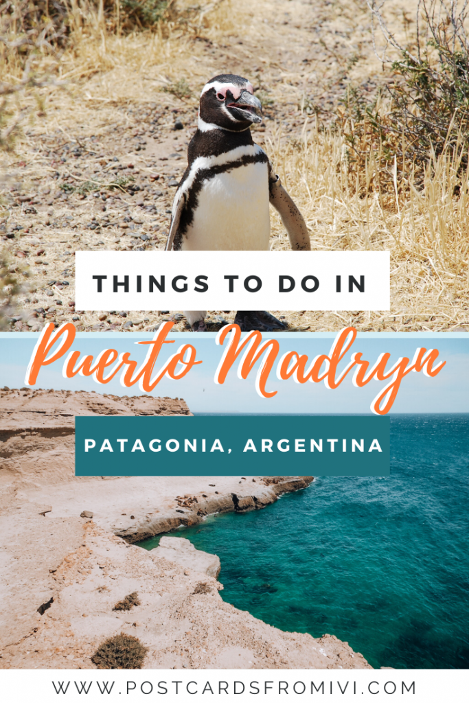 Things to do in Puerto Madryn, Patagonia Argentina's gem